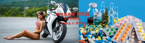 ГАЛЛЮЦИНОГЕННЫЕ ГРИБЫ Валдай